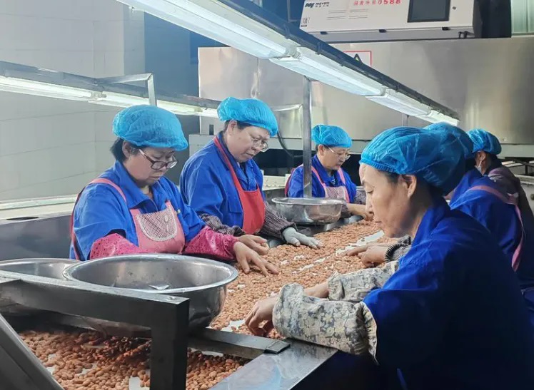 香港六宝典资料